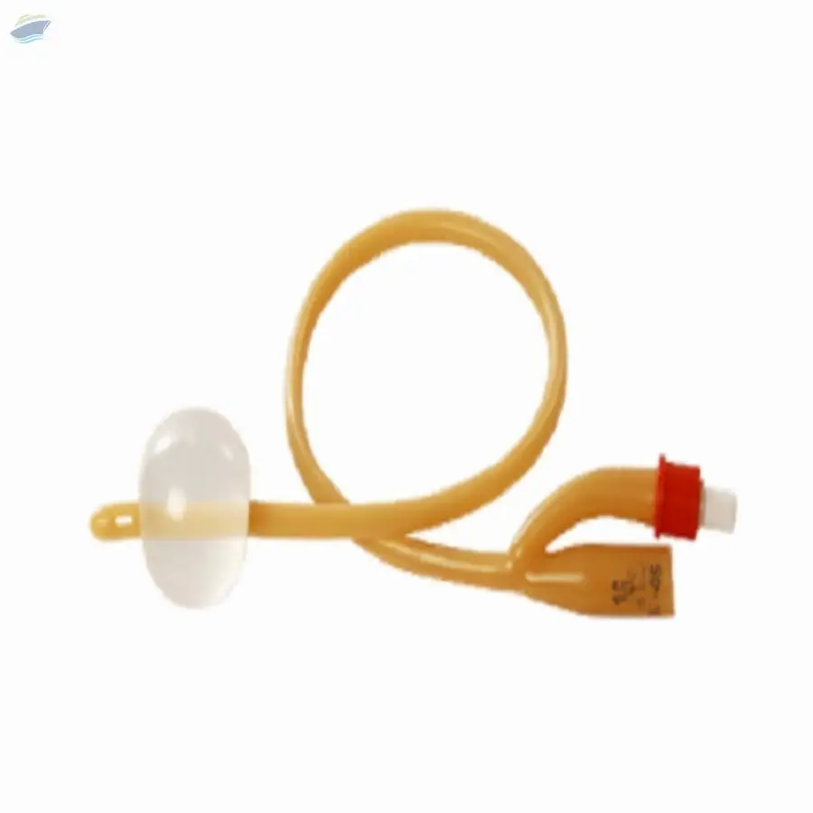 Folys Catheters