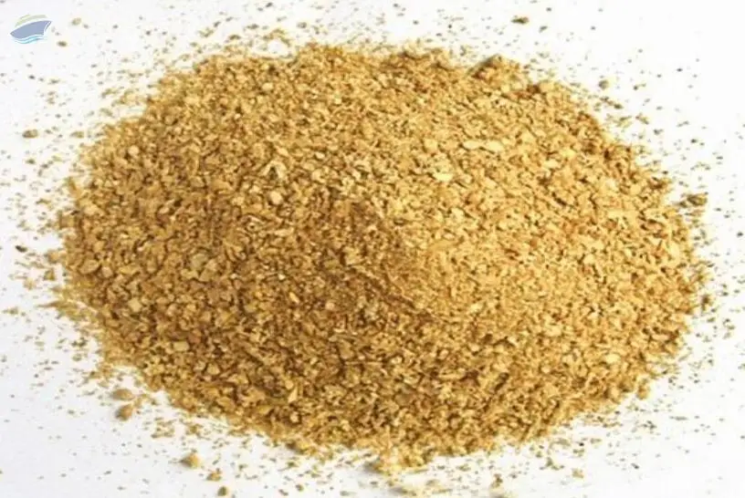 Soybean Meal