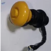 IPTO Switch