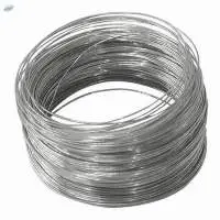 SS Wires