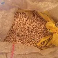 Organic Soybean