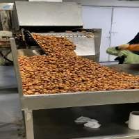 Bulk Alhasa Dates