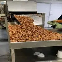 Bulk Alhasa Dates