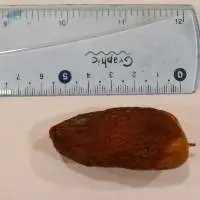 Saudi Mujdool Ruttab Dates 1st Grade 3kg