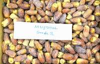 Saudi Mujdool Dates 2ed Grade 3kg Packing