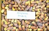 Saudi Mujdool Dates 2ed Grade 3kg Packing