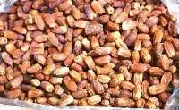 Saudi Mujdool Dried Tammer Dates 2ed Grade 3kg