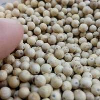 White Pepper