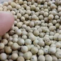 White Pepper