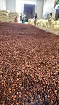 Clove