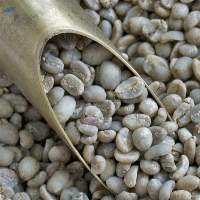 Green Coffee Beans Arabica and Robusta