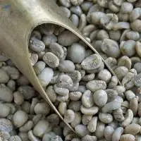 Green Coffee Beans Arabica and Robusta