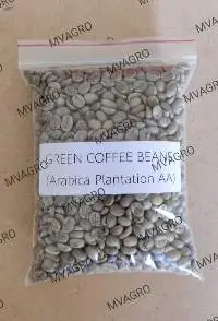 Arabica Plantation AA Green Coffee Beans