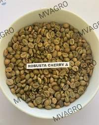 Robusta Cherry A Green Coffee Beans