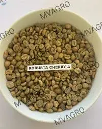 Robusta Cherry A Green Coffee Beans