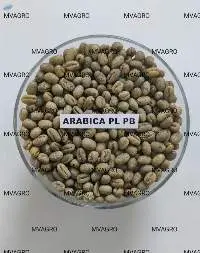 Arabica Plantation PB Washed Green Coffee Beans