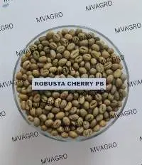 Robusta Cherry PB Green Coffee Beans