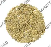 Robusta Cherry C Green Coffee Beans