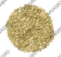Robusta Parchment C Washed Green Coffee Beans
