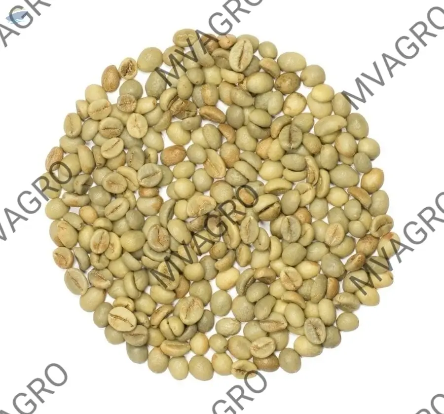 Robusta Parchment C Washed Green Coffee Beans by MV Agro. Supplier from
