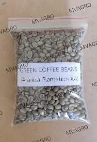 Arabica Plantation AA Scr 18 Green Coffee Beans