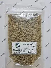 Arabica Plantation B Scr 15 Green Coffee Beans