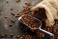 Roasted Coffee Beans For Espresso & Drip Filter