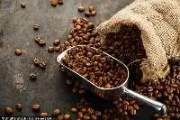 Roasted Coffee Beans For Espresso & Drip Filter