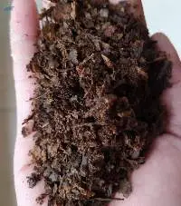 Leaf Mold/leaf Compost