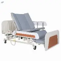 Electric Manual Bed