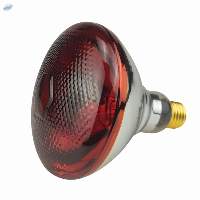 Infrared Lamp