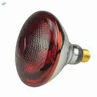 Infrared Lamp
