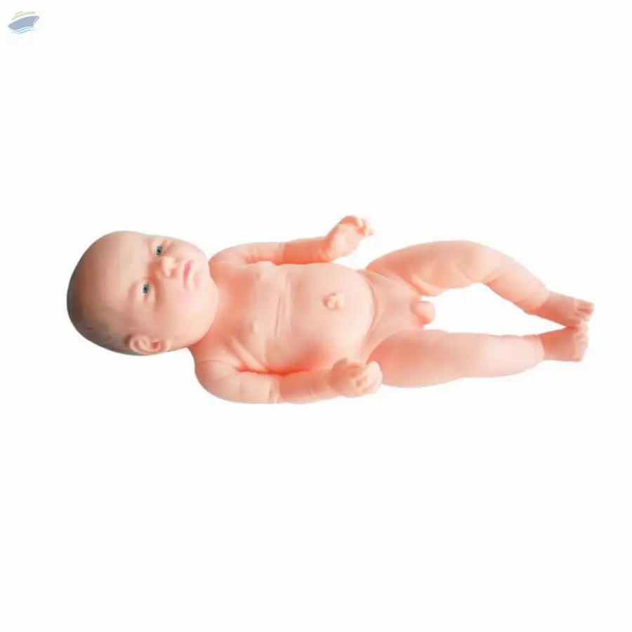 Newborn Bady Model