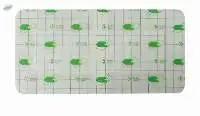 Adhesive Wound Dressing