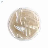 Empty Capsules