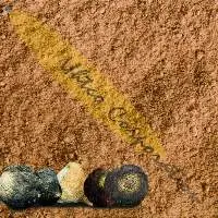 Black Maca Powder, Organic
