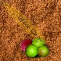 Camu Camu Powder