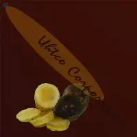 Yacon Syrup