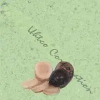 Yacon Root Powder