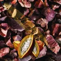 Criollo Cacao Nibs