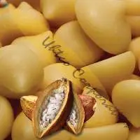 Criollo Cacao Butter