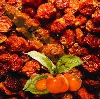Physalis