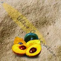 Lucuma Fruit Powder