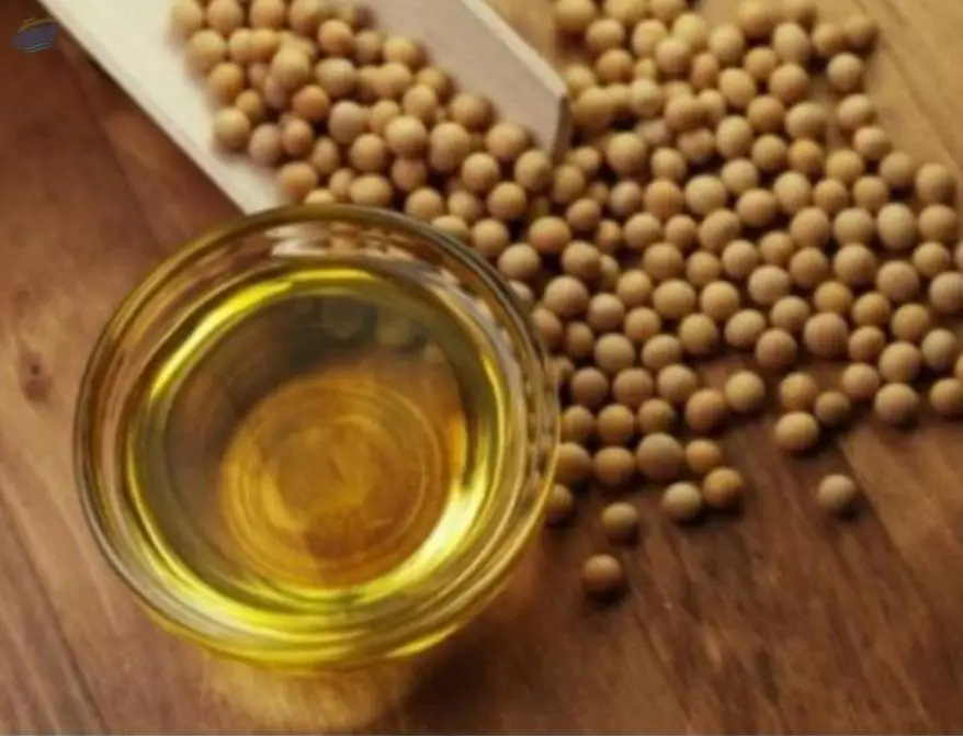Crude Soybean Oil Best Quality