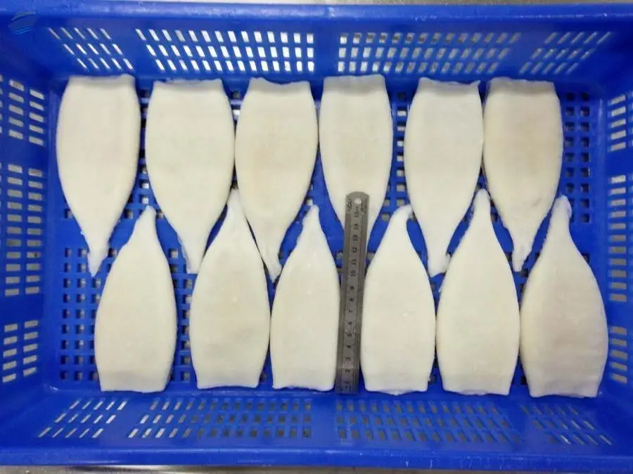 Frozen Squid