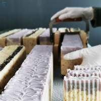 Soap Bars
