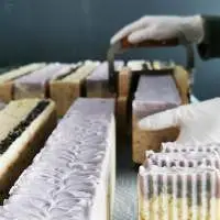 Soap Bars