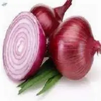 Onion