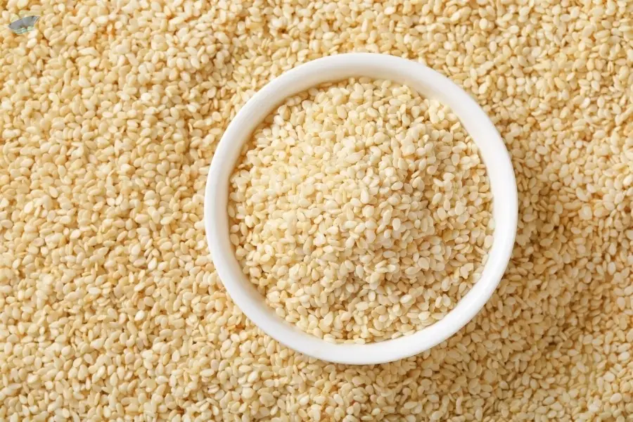 Sesame Seeds