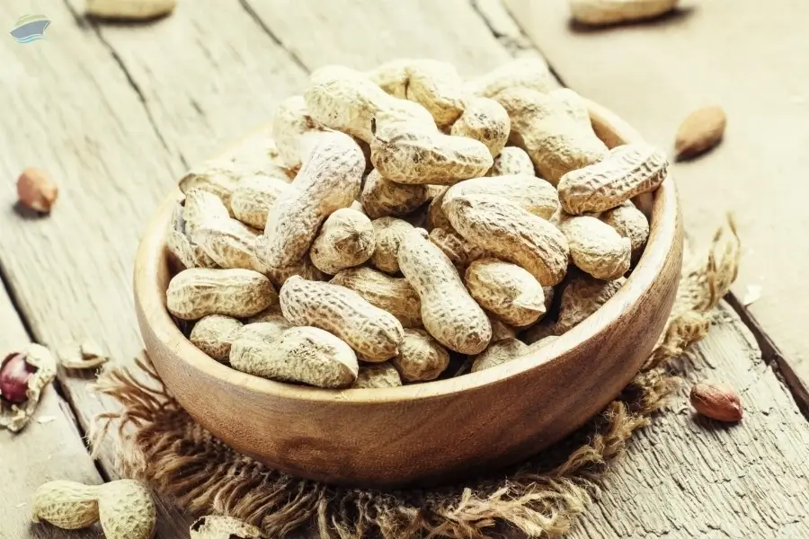 Peanuts